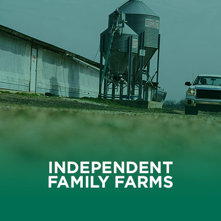 Independent Family Farms