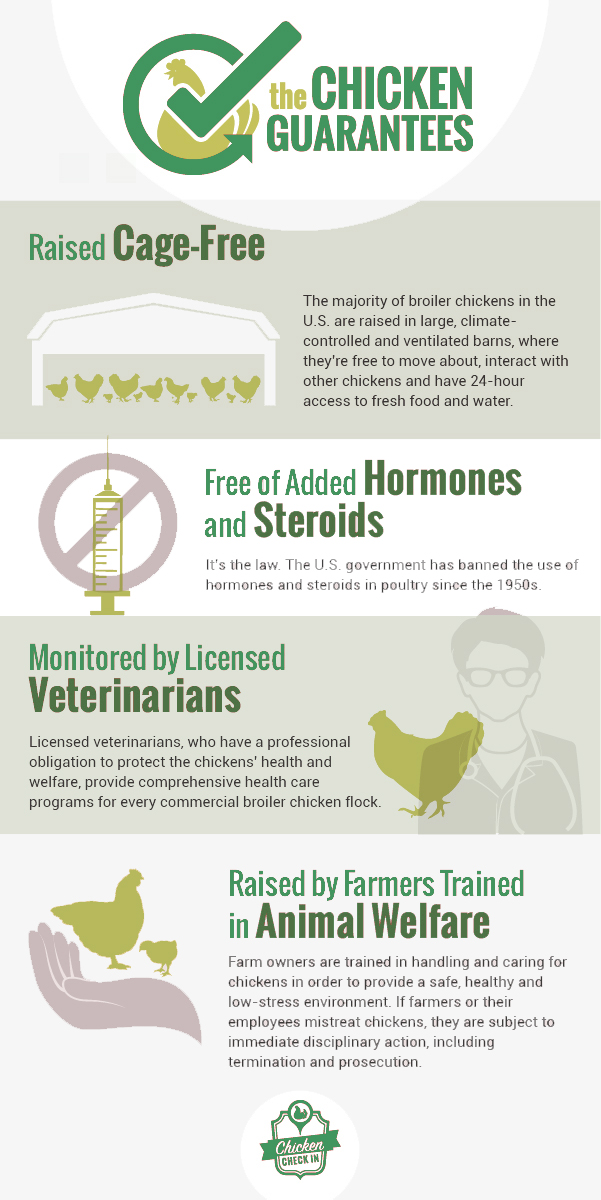 How We Raise Our Chickens Inc.